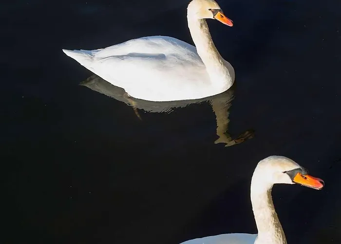 Ibis Budget Porte D'orleans