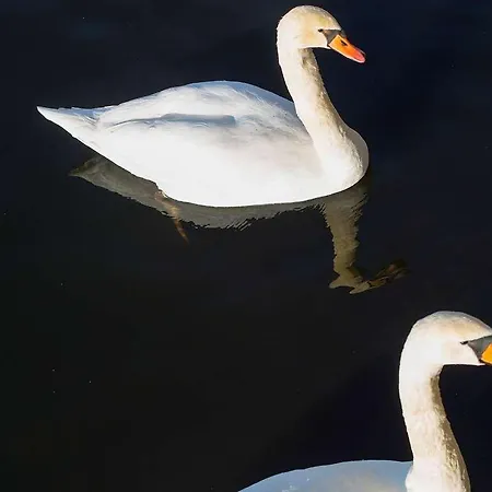 Ibis Budget Porte D'orleans